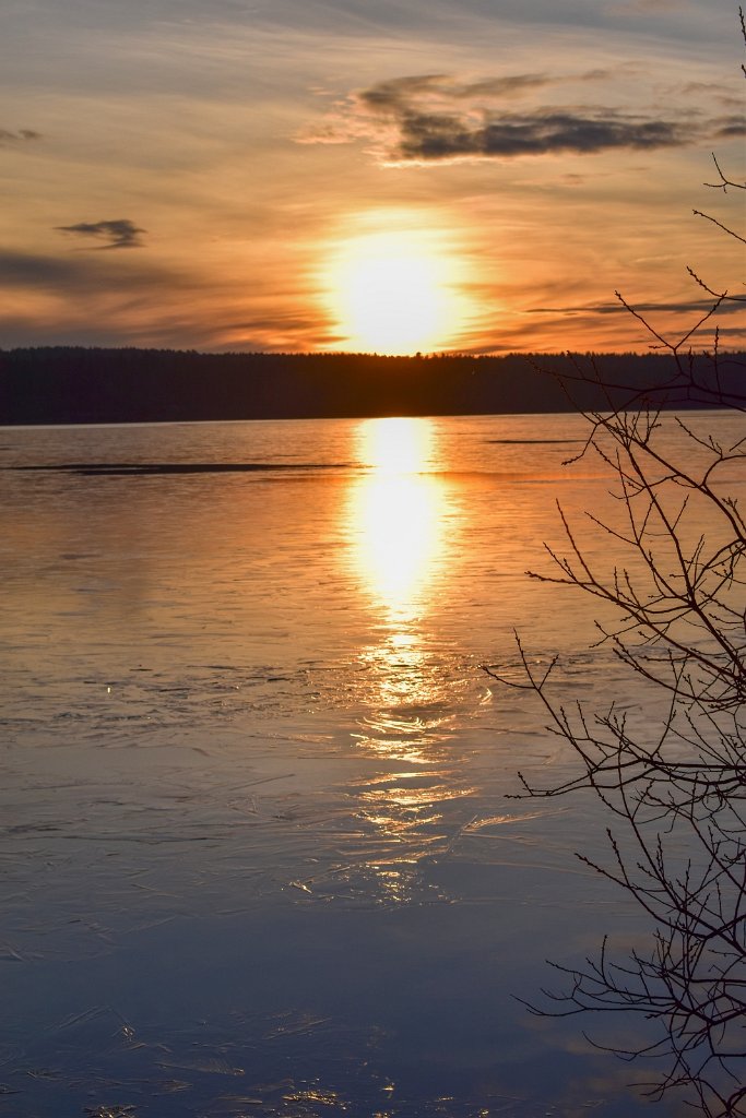 DSC_796.jpg