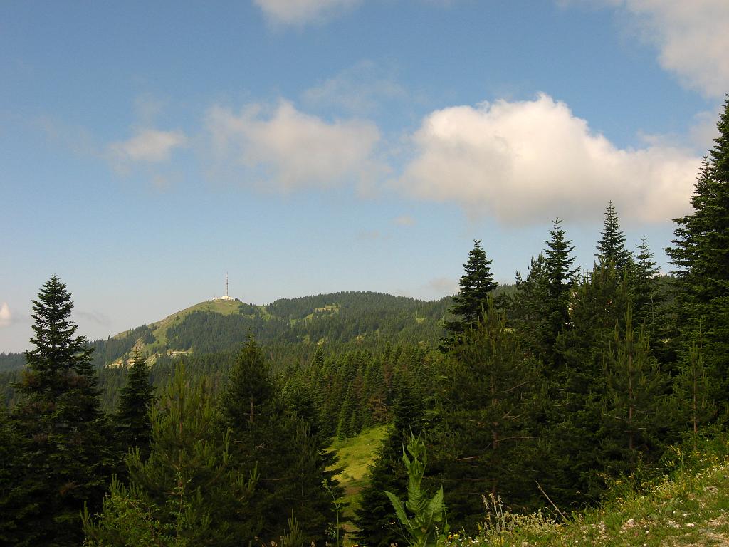 IMG_3301.jpg - Ilgaz Dagi Milli Parki