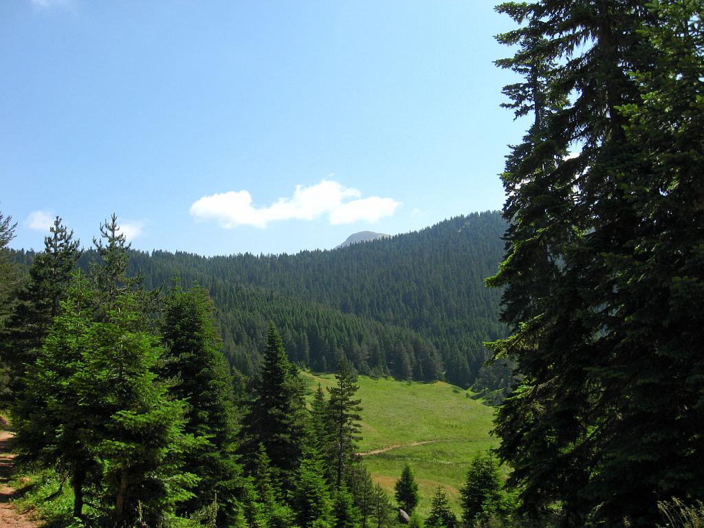 IMG_3328.jpg - Ilgaz Dagi Milli Parki