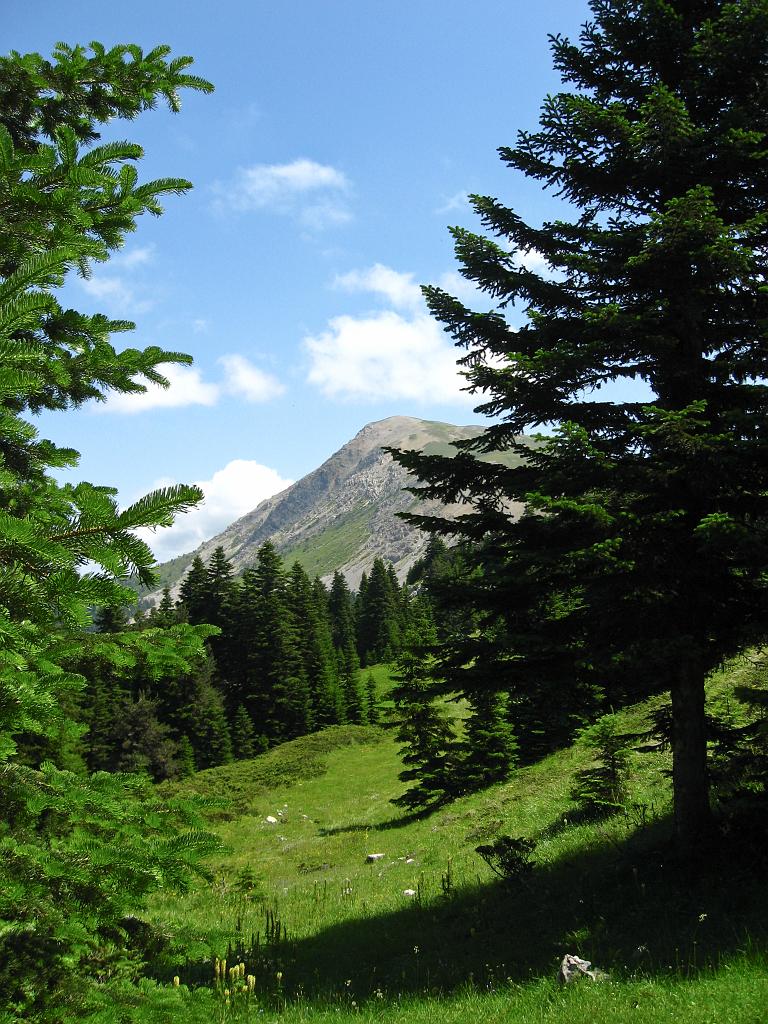 IMG_3377.jpg - Ilgaz Dagi Milli Parki