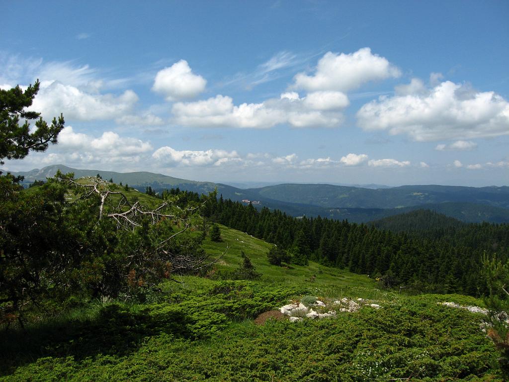 IMG_3422.jpg - Ilgaz Dagi Milli Parki