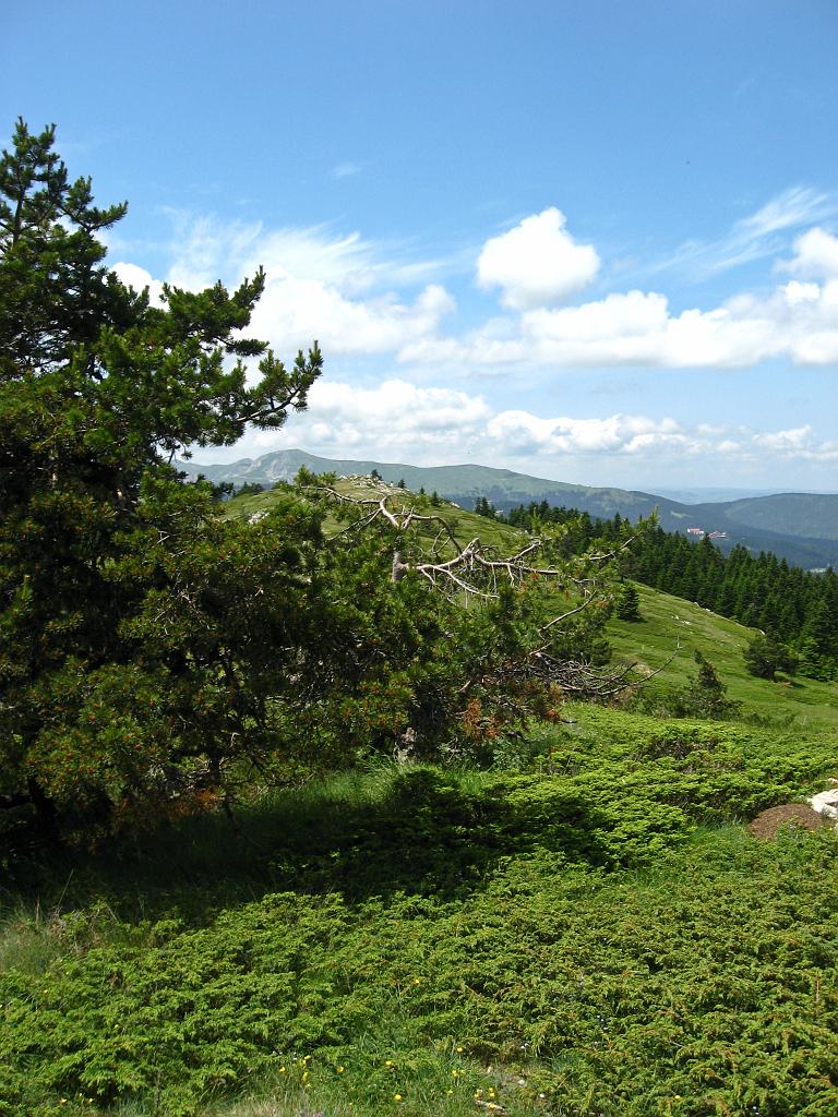 IMG_3424.jpg - Ilgaz Dagi Milli Parki