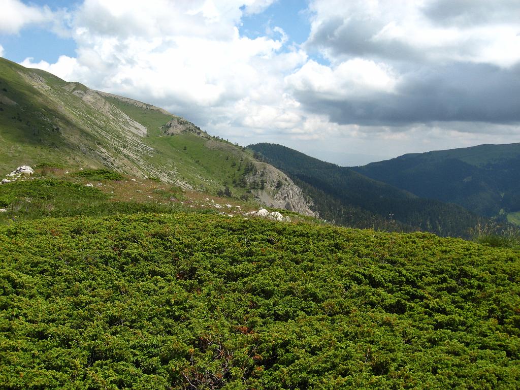 IMG_3453.jpg - Ilgaz Dagi Milli Parki