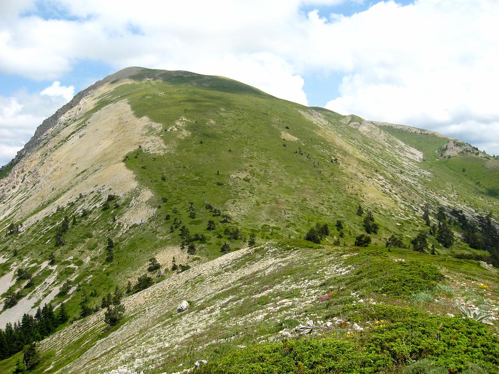 IMG_3461.jpg - Ilgaz Dagi Milli Parki