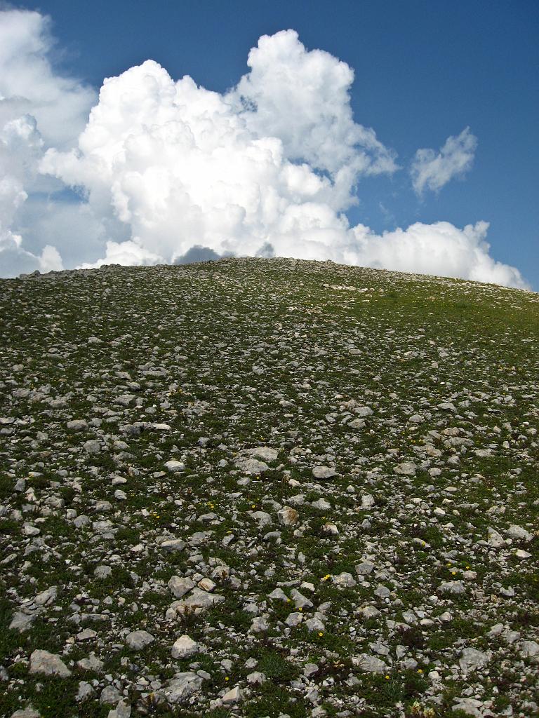IMG_3501.jpg - Ilgaz Dagi Milli Parki