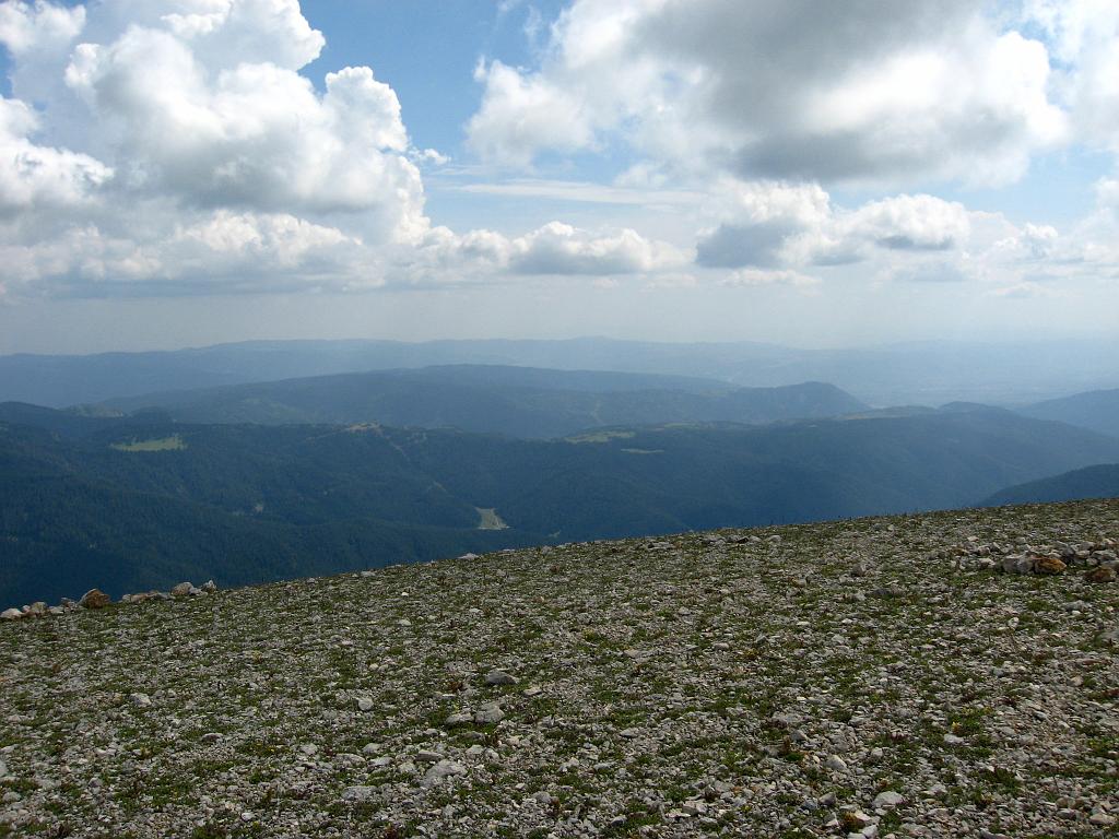 IMG_3513.jpg - Ilgaz Dagi Milli Parki