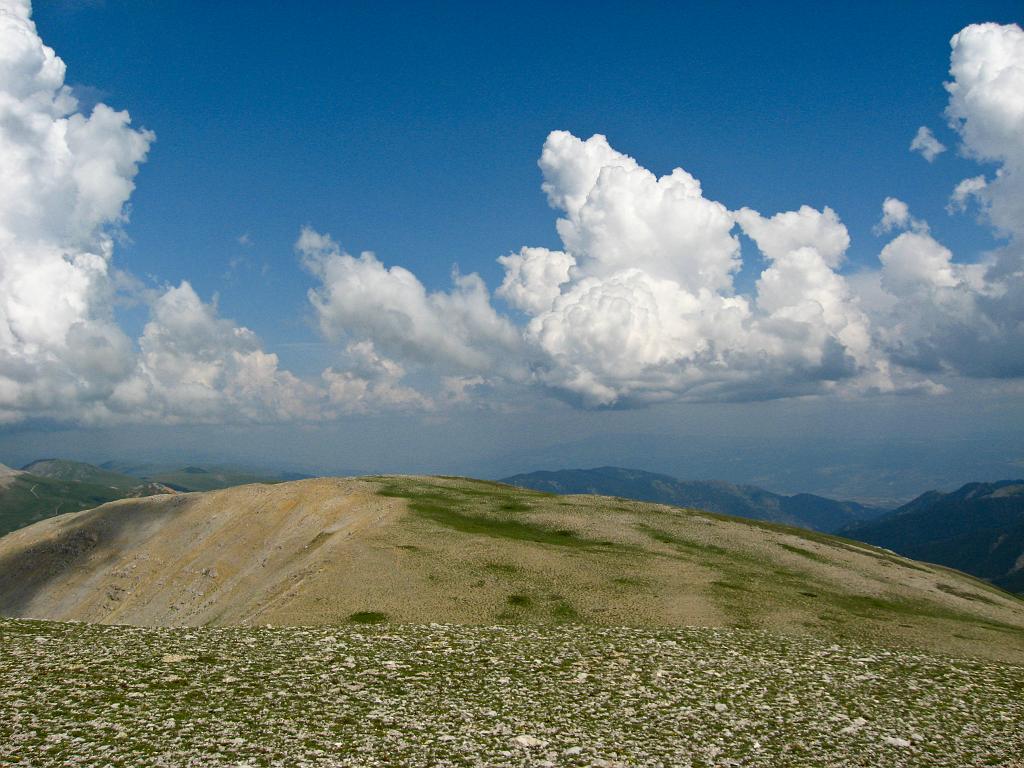 IMG_3521.jpg - Ilgaz Dagi Milli Parki