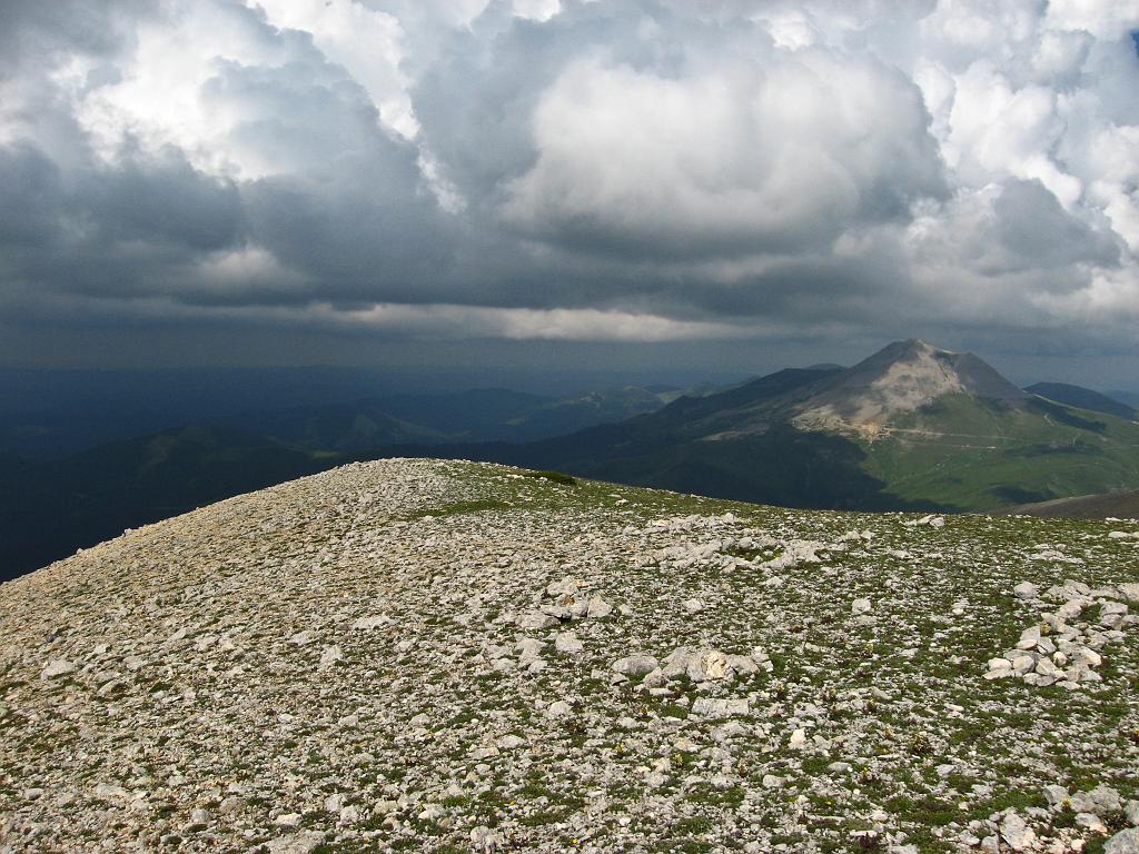 IMG_3523.jpg - Ilgaz Dagi Milli Parki