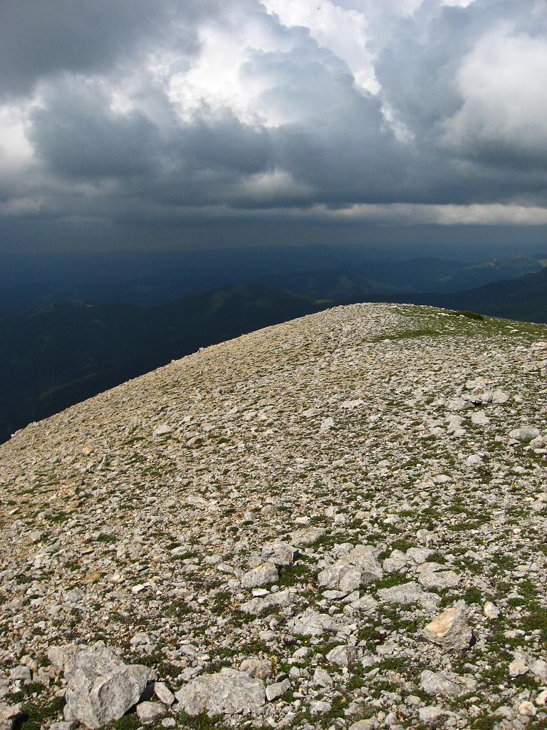 IMG_3524.jpg - Ilgaz Dagi Milli Parki