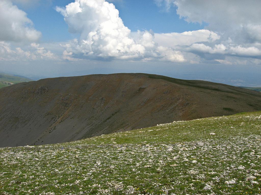 IMG_3533.jpg - Ilgaz Dagi Milli Parki