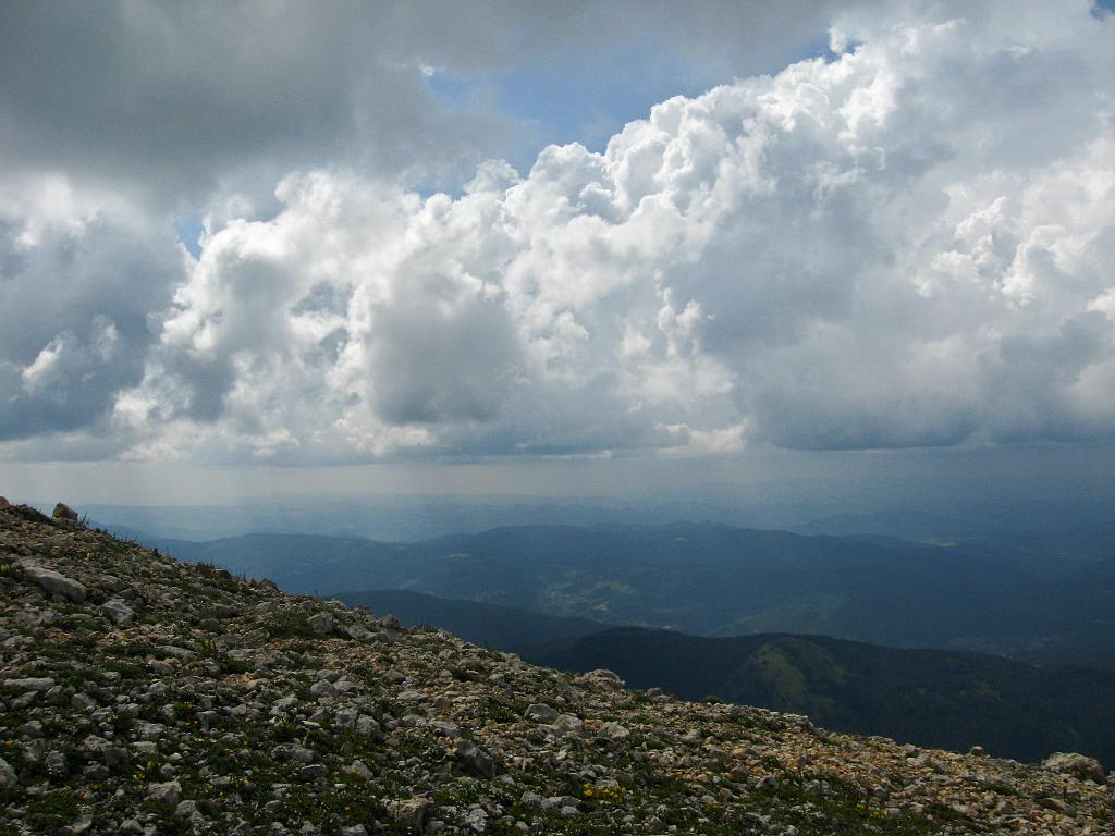 IMG_3536.jpg - Ilgaz Dagi Milli Parki