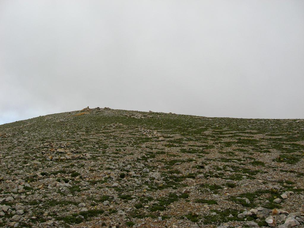 IMG_3559.jpg - Ilgaz Dagi Milli Parki