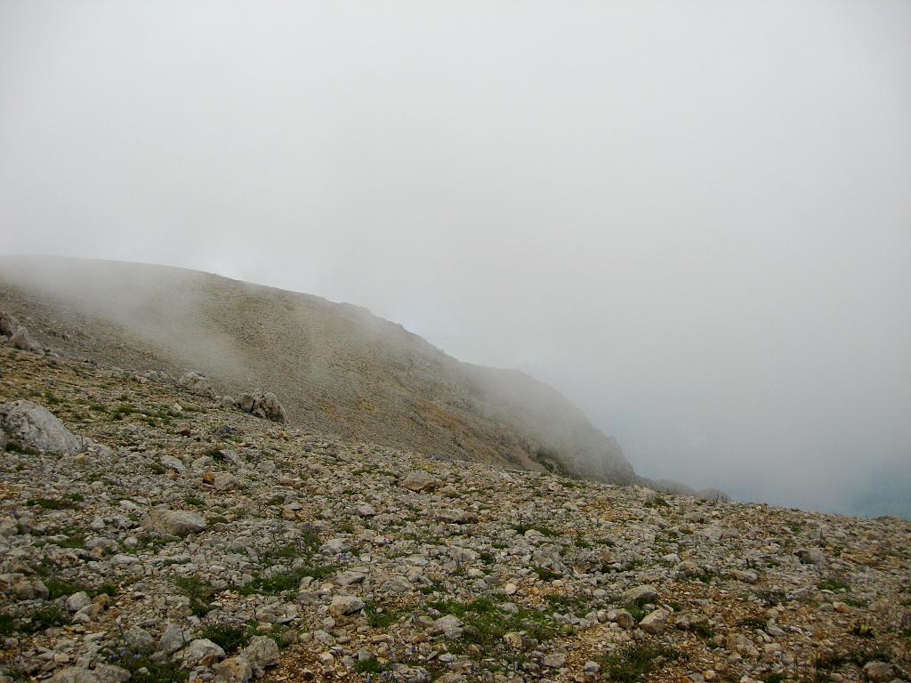 IMG_3564.jpg - Ilgaz Dagi Milli Parki