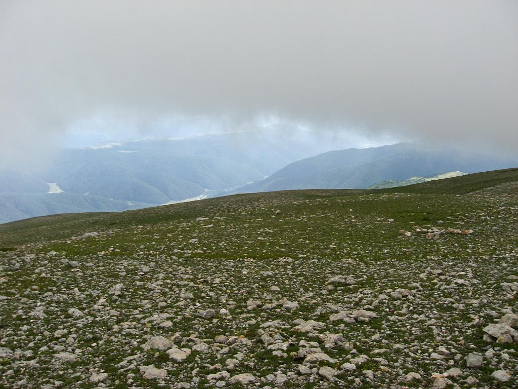 IMG_3566.jpg - Ilgaz Dagi Milli Parki