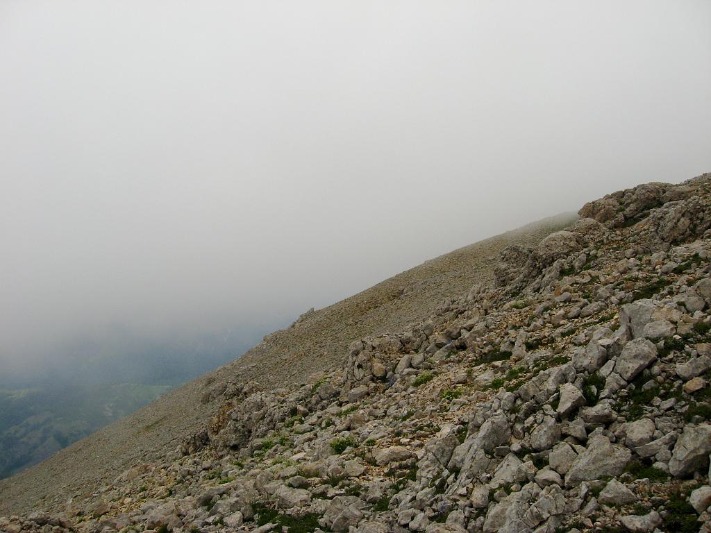 IMG_3568.jpg - Ilgaz Dagi Milli Parki