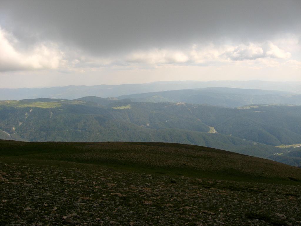 IMG_3583.jpg - Ilgaz Dagi Milli Parki