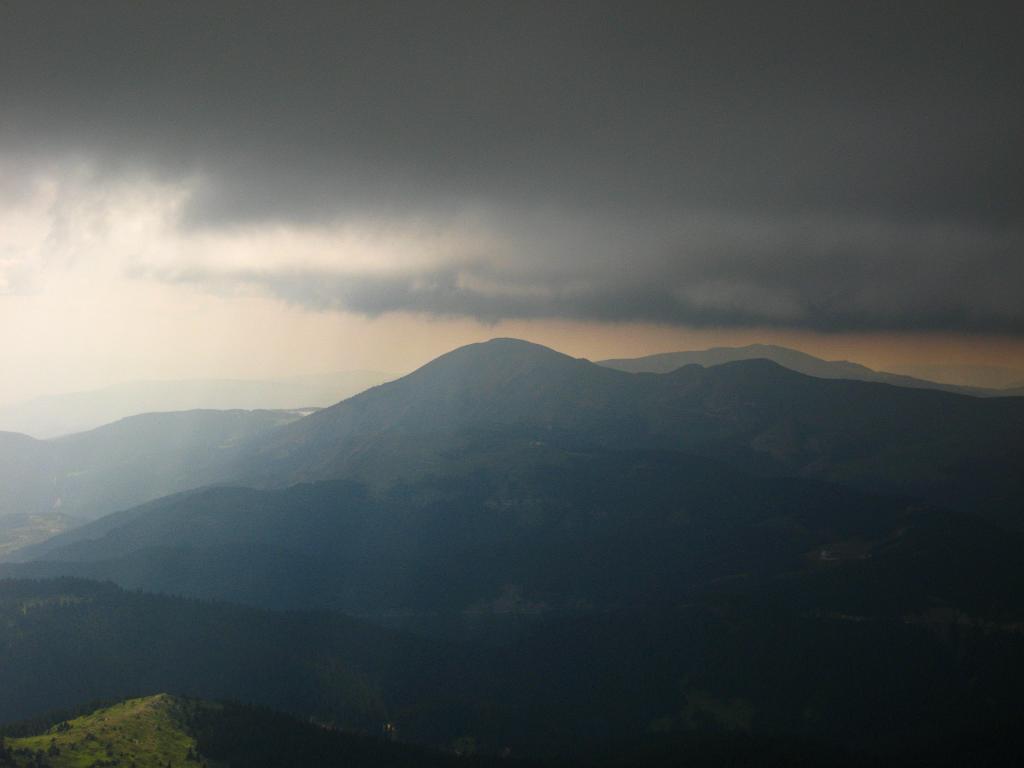 IMG_3585.jpg - Ilgaz Dagi Milli Parki