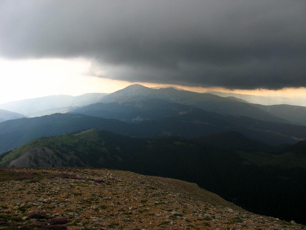 IMG_3589.jpg - Ilgaz Dagi Milli Parki