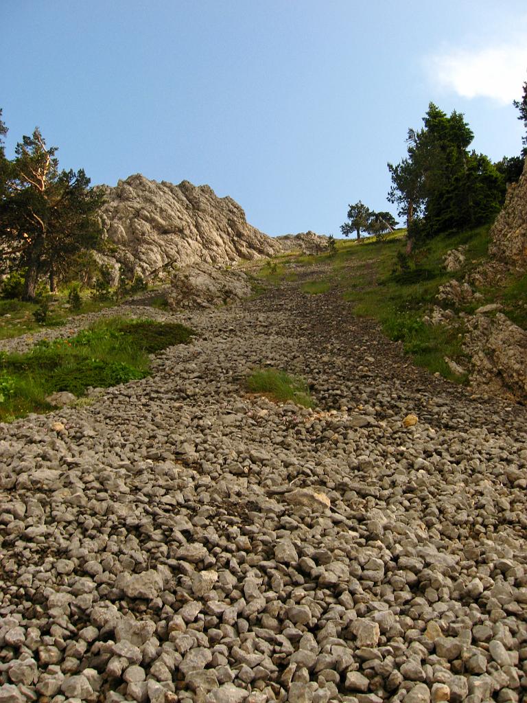 IMG_3600.jpg - Ilgaz Dagi Milli Parki