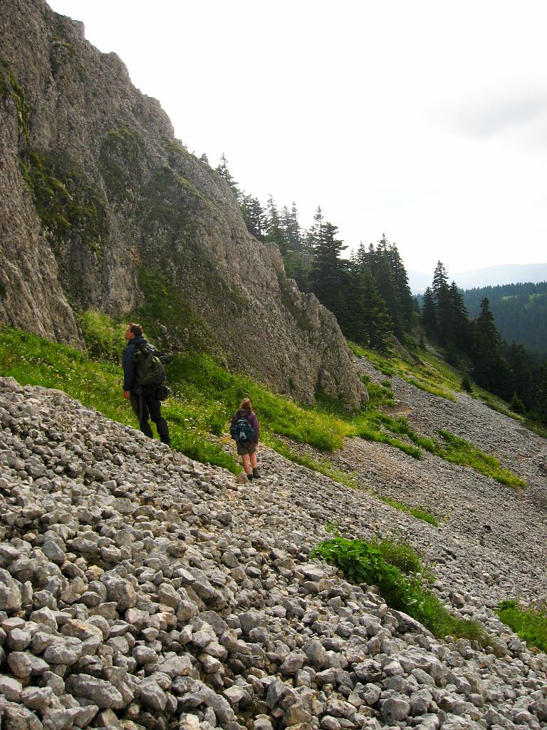 IMG_3601.jpg - Ilgaz Dagi Milli Parki