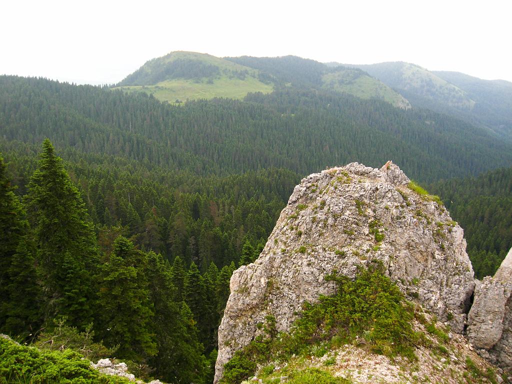 IMG_3607.jpg - Ilgaz Dagi Milli Parki