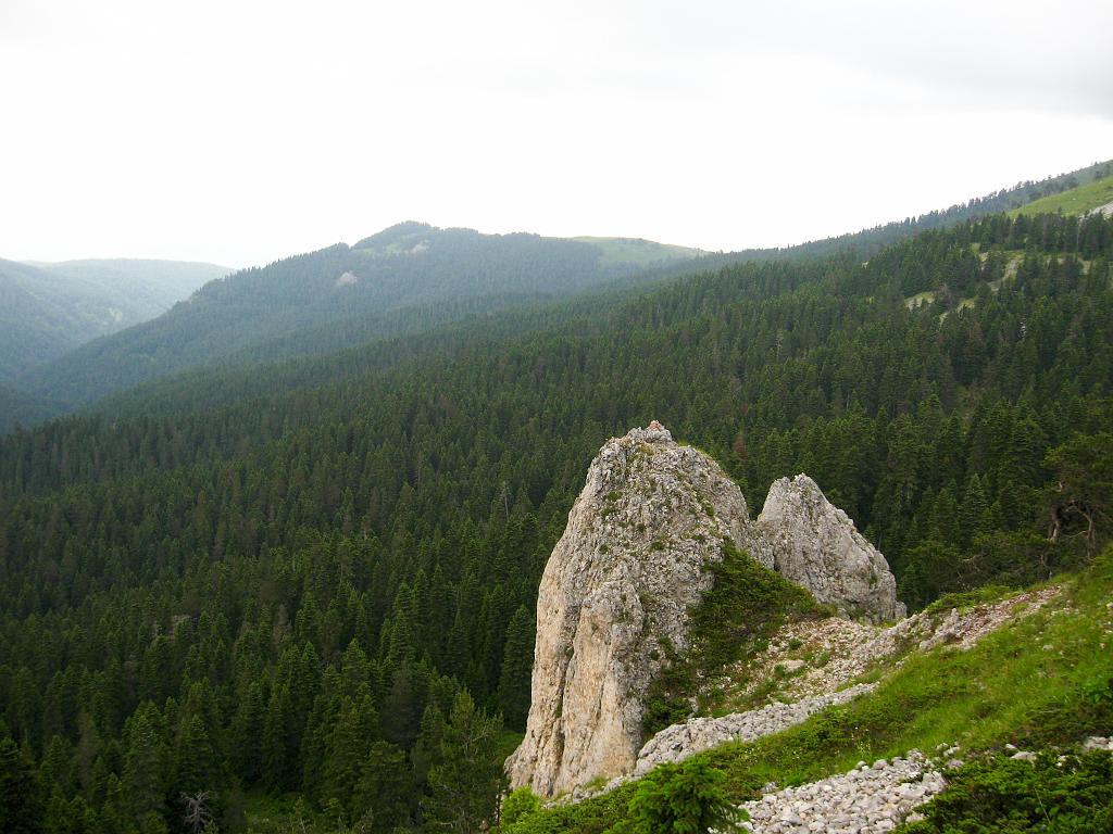 IMG_3608.jpg - Ilgaz Dagi Milli Parki