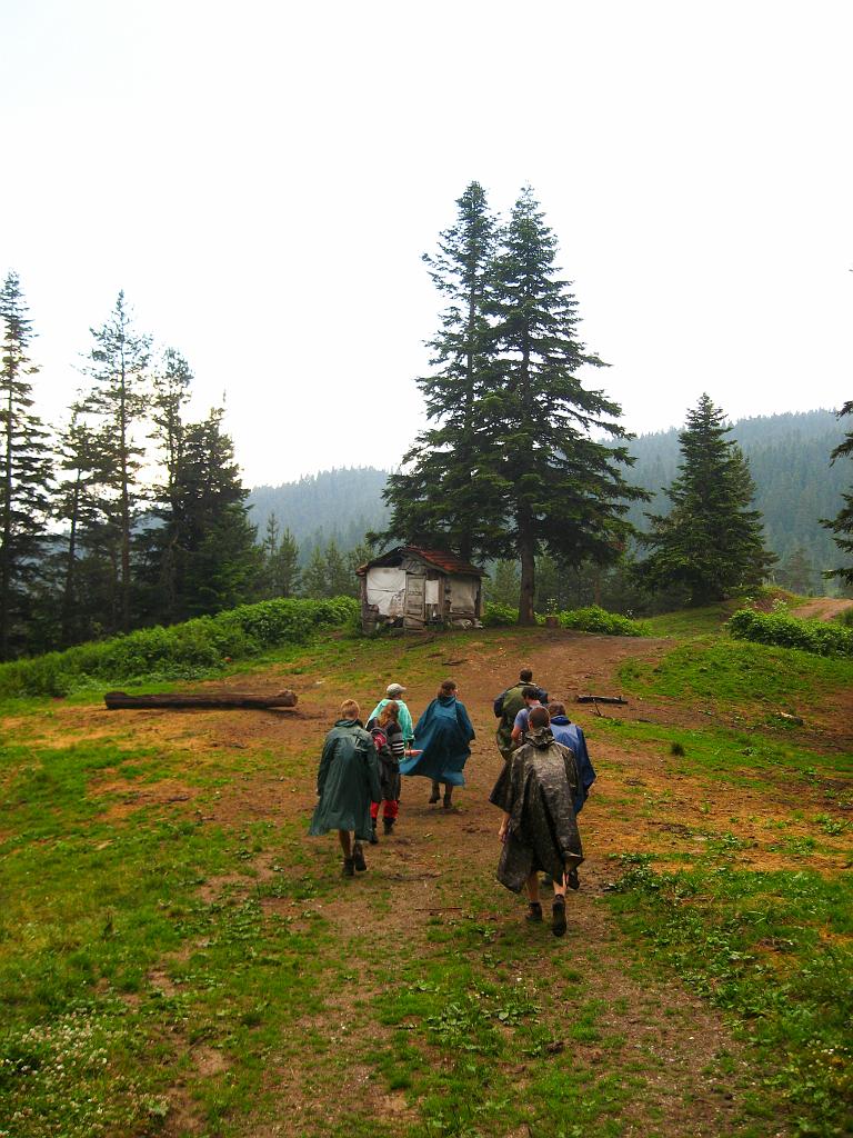 IMG_3617.jpg - Ilgaz Dagi Milli Parki