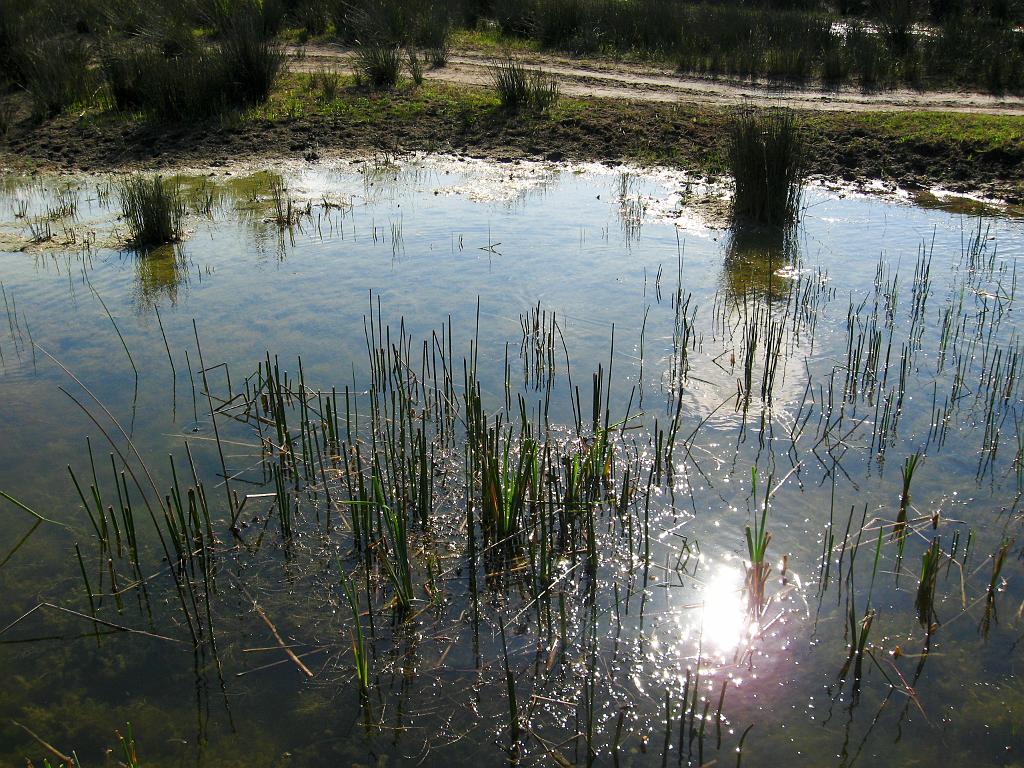 IMG_3777.jpg - Altindere National Park