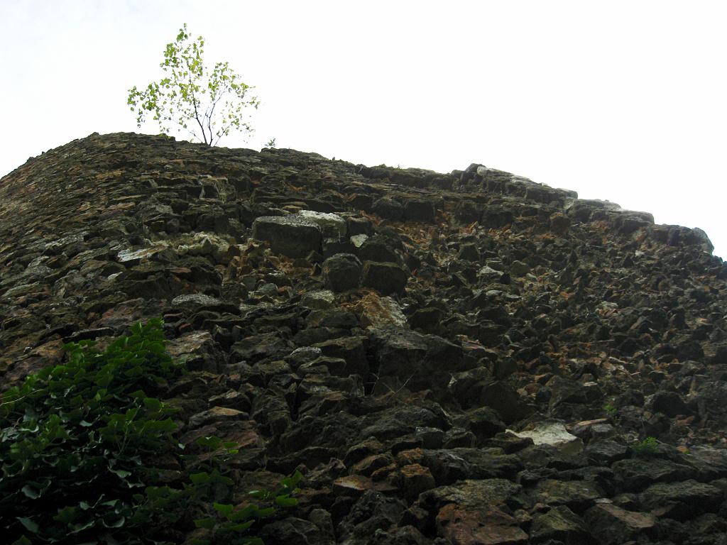 IMG_5606.jpg