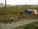 IMG_4274
