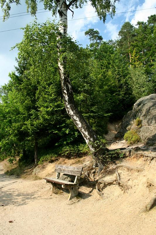 vh_24.JPG - Věra_H