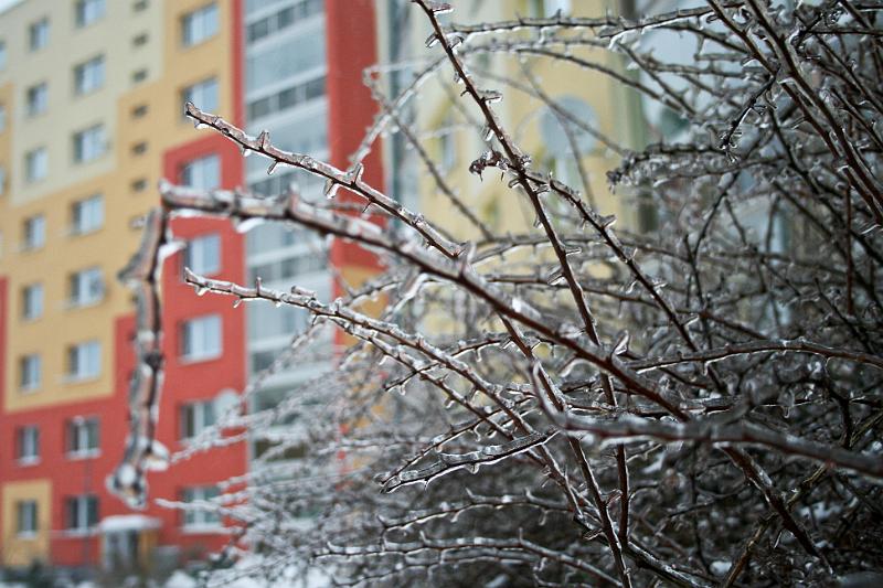 101225-06.jpg - Ledovka