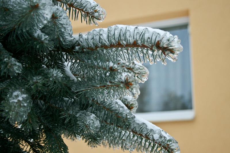 101225-17.jpg - Ledovka