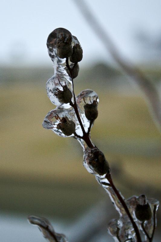 101225-21.jpg - Ledovka