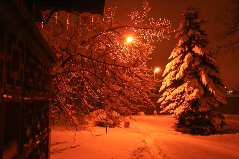 101229-02.jpg