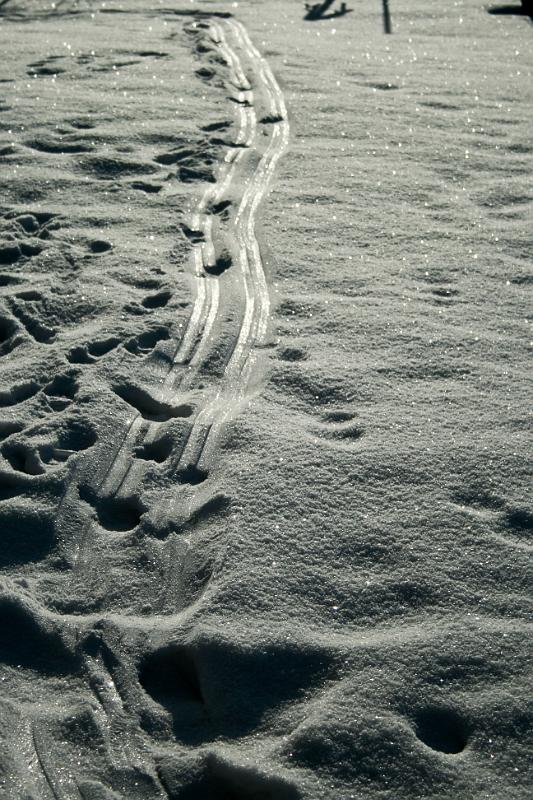 110122-01.jpg - Stopy