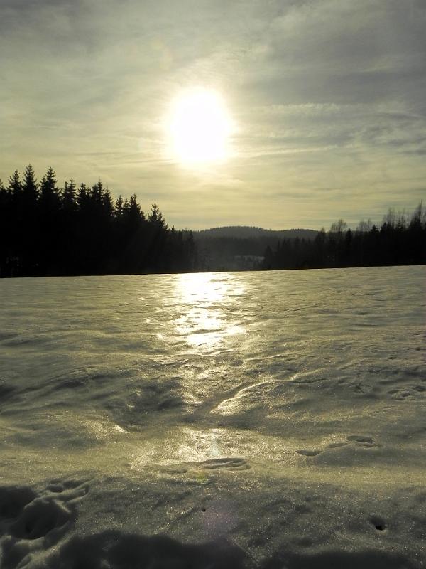 DSCN1938.jpg