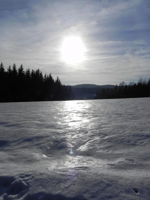 DSCN1939.jpg