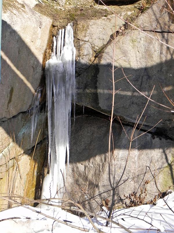 DSCN2032.jpg