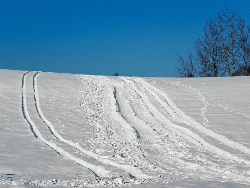 DSCN2074.jpg