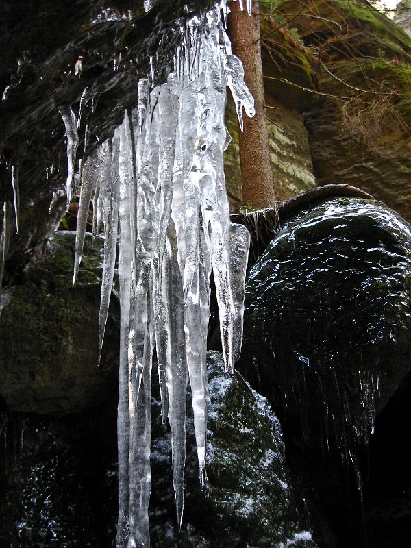 IMG_1560.jpg