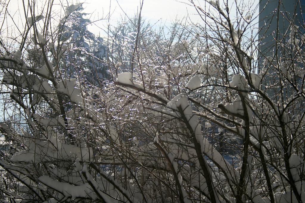 120118-06.jpg - Zimní sídliště