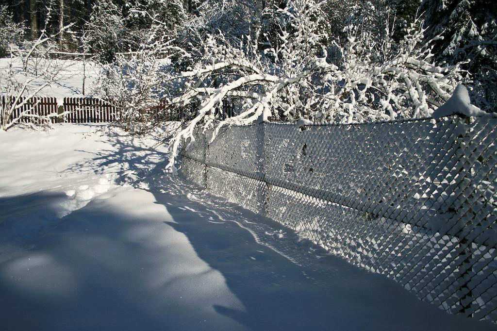 120118-23.jpg - U sádek