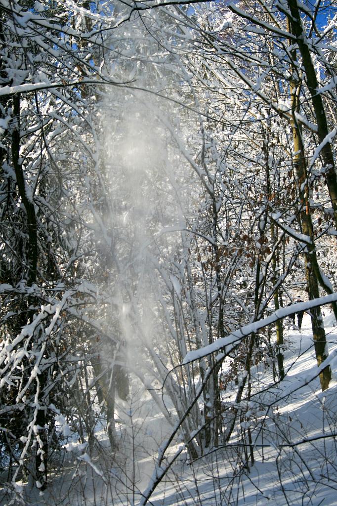 120118-29.jpg - Les nad přehradou