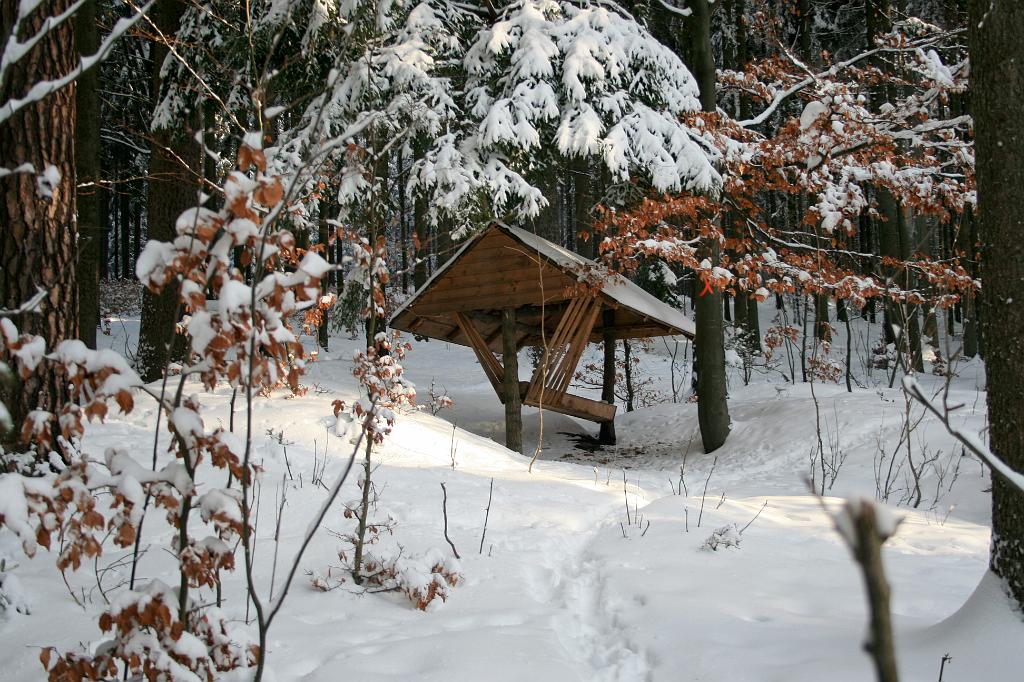 120118-38.jpg - Les nad přehradou
