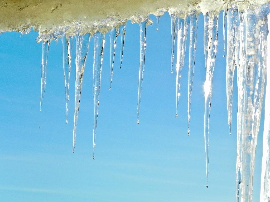 DSCN3727.jpg