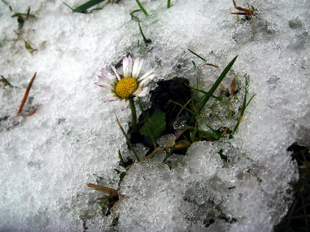 IMG_6728.jpg