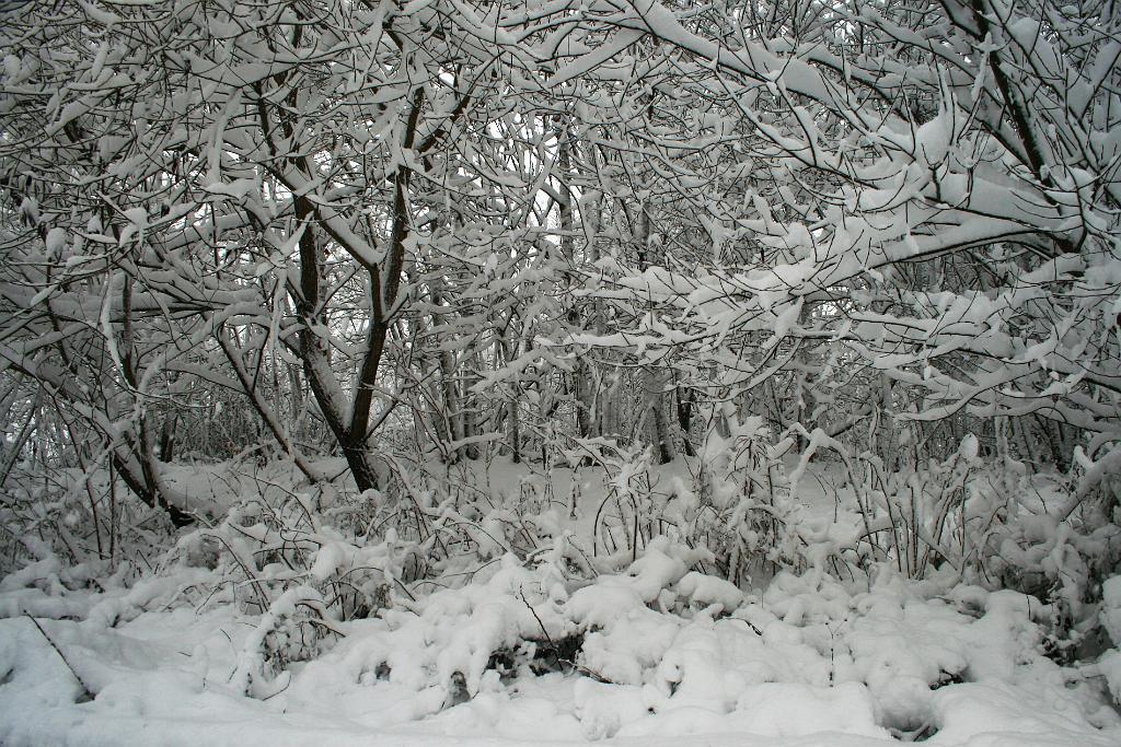 121130-04.JPG