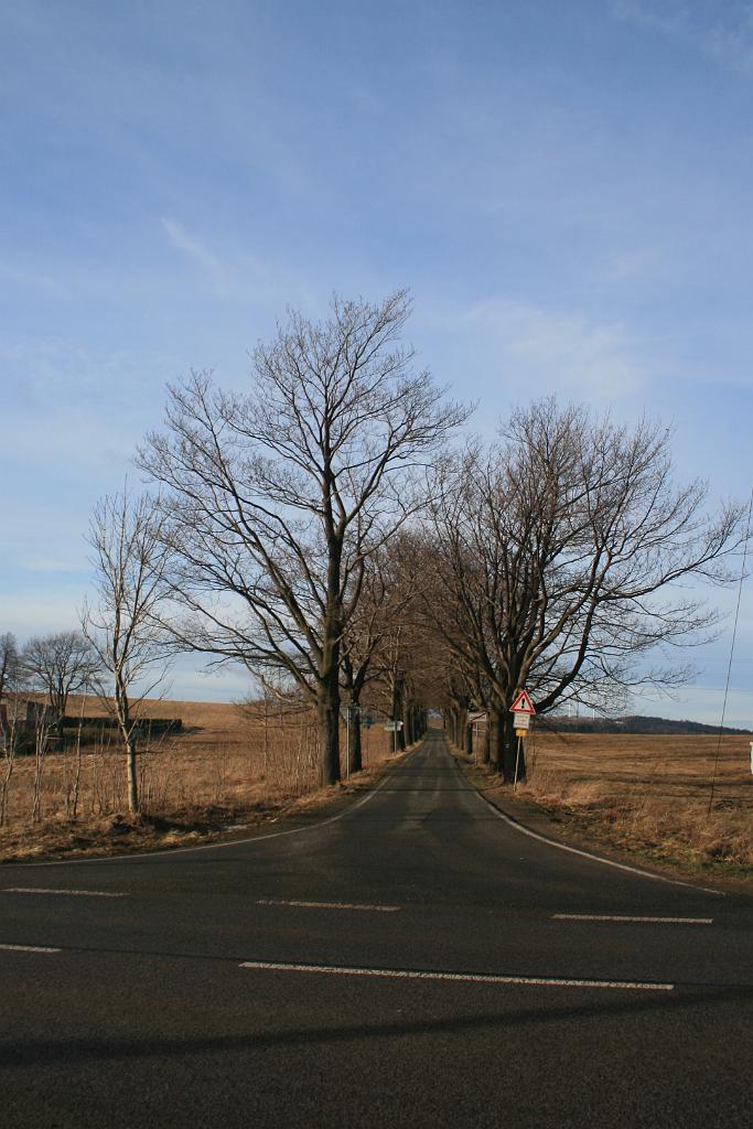 121231-02.JPG
