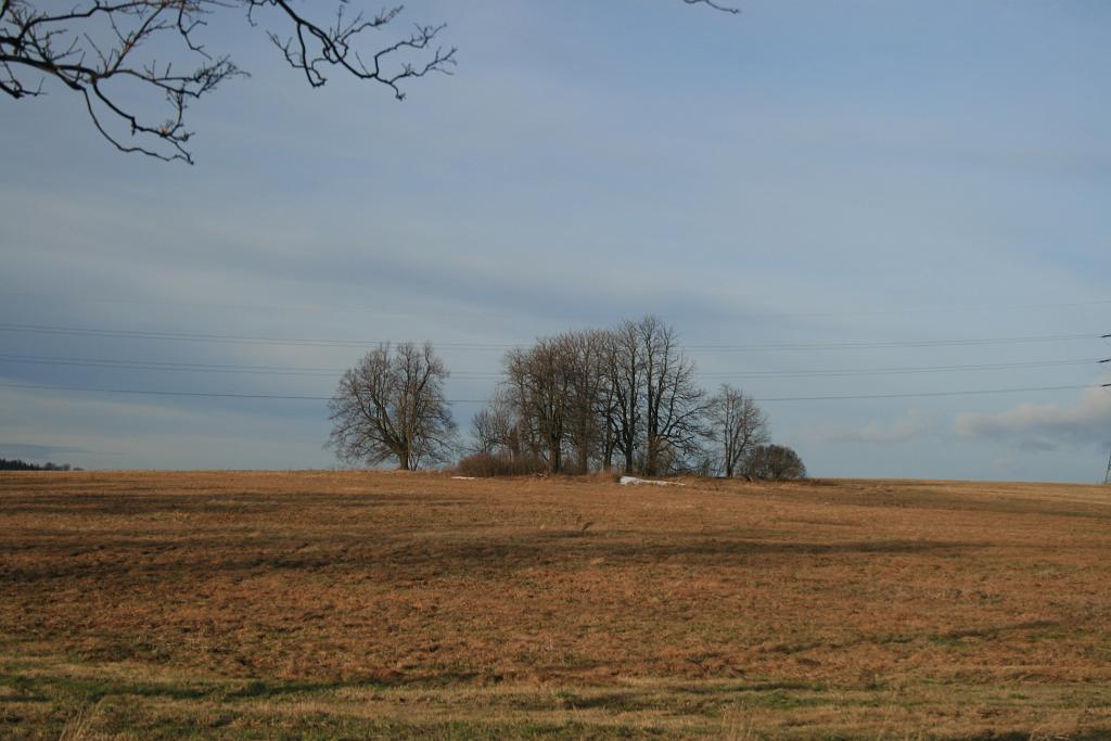 121231-03.JPG